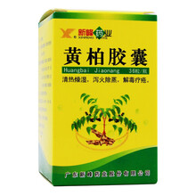 新峰 黄柏胶囊 1g*36粒 清热燥湿泻火除蒸解毒疗疮湿热泻痢黄疸热淋湿疹瘙痒 1盒装