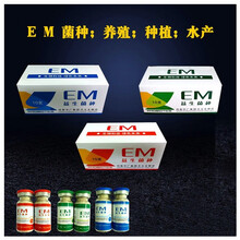 【EM菌种原种 养殖 种植 水产菌】制40斤EM原液露 每瓶含菌2万亿 【60瓶起拍】