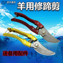其六羊用修蹄剪刀羊场修蹄子羊用修蹄剪防腐蹄病防止羊修蹄剪 精品修蹄剪