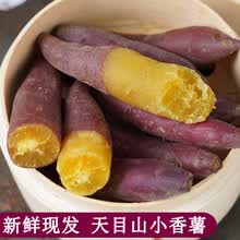 梓乐果 3/5斤临安天目山小香薯新鲜红薯正宗板栗沙地番薯地瓜手指小红薯 3斤 小果