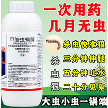 甲维虫螨腈农药店农药杀虫剂高效菜青虫钻心虫斜纹夜蛾农药杀虫剂 60g