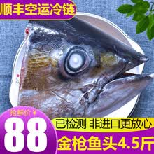 渔人百味 金枪鱼头1.2-3.5kg新鲜金枪鱼肉金枪鱼眼-60℃低温冷冻烧烤炖汤日本料理熟吃健康轻食 金枪鱼头1.5-2.5kg