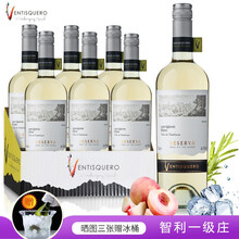 超市	【五家米其林餐厅选用酒庄】冰川酒庄智利原瓶进口葡萄酒 安第斯之魂苏维翁干白葡萄酒750ml*6