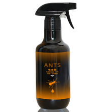 康盾杀虫剂家用灭除蚂蚁药全窝端家用神器杀蚂蚁喷剂 300ml