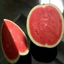 黑皮无籽西瓜种子 高产 甜 早熟 新疆产 超甜 抗虫茬黑皮西瓜种子 10粒简装