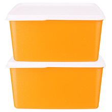 特百惠（Tupperware） 保鲜盒2.5L缤纷冷藏盒大容量收纳盒冰箱蔬菜水果密封储藏盒 两个装