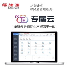 畅捷通 T+ 专属云V15.0  用友ERP财务软件 云进销存 一体化 企业管理软件 标准版 套餐五 商用