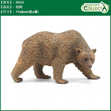 英国CollectA我你他仿真野生动物合集模型玩具认知老虎狮子长颈鹿 88560棕熊