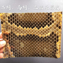 二胡乐器蟒皮潮州二弦蟒皮高胡蛇皮二胡手工蒙皮 潮州二弦13宽11长(压圈用)