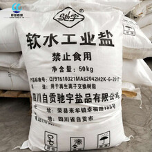 水处理软化水工业盐树脂再生盐50kg锅炉软水设备盐融雪盐除雪