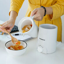 迷你养生杯智能电炖锅办公小炖盅煲汤锅家用宿舍煮粥神器1-2人 0.8L预约智能版白色(约3碗)