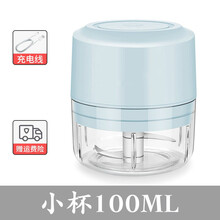 FEDAIR家用绞肉机小型迷你捣蒜泥神器多功能辅食搅拌绞馅机料理机 淡湖蓝 电动绞肉机双杯【100+200】ML