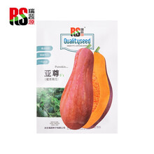 超市	
瑞蔬源 第一代杂交亚尊南瓜种子10克 板栗南瓜种子香甜粉糯早熟甜栗大田四季蔬菜种子菜种子蔬菜种子蜜本南瓜