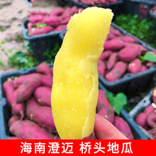 娇瑰 精选品质 海南澄迈桥头富硒地瓜番薯新鲜农家自种小香红薯沙地手指薯【坏果包赔】 9斤 小果