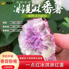 【精选香薯】西瓜红蜜薯红薯番薯板栗薯紫薯一点红冰淇淋根茎类蔬菜 冰淇淋红薯（喜欢更粉糯！） 精品果 10斤装