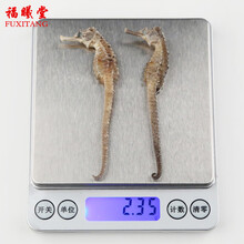 福曦堂海马 泡酒药材 1对（2支）合计大于2克