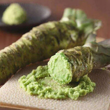 纳格兰芥末种子调味庭院春秋四季阳台盆栽山葵蔬菜种孑绿芥末种籽 芥末种子5克原装×10包