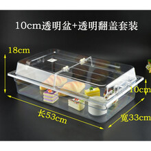 面包蛋糕托盘盒子透明防尘罩塑料亚克力长方形大号水果保鲜展示盘筱娥惠 套装透明盆10cm+双纵开翻盖