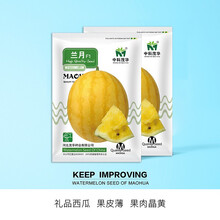 中科茂华 瓜果种子 兰月西瓜种子 果型高圆果肉黄皮黄肉 礼品西瓜种子 汁多爽口采摘园基地种植 兰月西瓜种子50粒