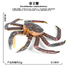 Oenux儿童海洋生物模型玩具仿真实心红花蟹螃蟹梭子蟹大帝王蟹动物摆件 帝王蟹M-1539