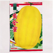 纳格兰  蔬菜种子羊角蜜甜瓜种子 日本甜宝甜瓜种子 瓜果蔬果香瓜种子 春季播种家庭蔬菜 黄金蜜甜瓜