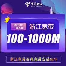 中国电信 浙江电信宽带办理杭州宁波温州金华绍兴台州湖州宽带官方 300M宽带 淳安*富阳*建德*桐庐*临安两年 新装/续费