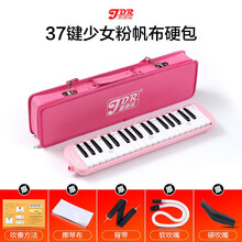 嘉德瑞口风琴37键32键初学者小学生用专业演奏级吹管乐器幼儿童女 【37键粉色-帆布硬包】一套吹管组(吹管吹嘴)