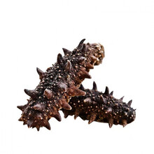 速发海参干货刺参也生辽参大连非即食海参酒店商用批发淡干小海参 刺参【3.5-4cm/只】7年刺参 【买45只赠5只】共50只