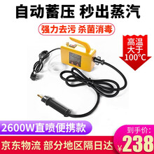 拼工高温高压蒸汽清洁机家用电器消毒空调厨房油烟机热水器去油污多功能商用家电清洗机洗车机全套工具设备 2600W家用便携直喷款
