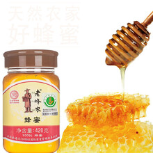 老蜂农 蜂蜜纯正土蜂蜜香甜淳补农家井冈山天然滋补土蜂蜜 420g*1瓶