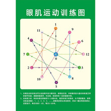 视力训练图远视图眼肌运动训练增视图眼操墙贴 眼肌运动训练图(自带胶) 大