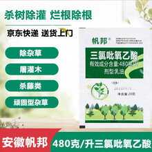 帆邦 480克/升三氯吡氧乙酸草坪除草神剂马尼拉除阔叶水花生杂草专业草坪农药除草剂 50袋 20g/袋