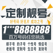 中国电信（Z） 手机号码卡靓号手机电话卡靓号无限流量卡情侣号移动手机号全国通用老板号定制 老板号定制400