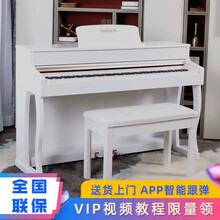 海蒂诗（hetitch）电钢琴88键重锤烤漆成人专业数码钢琴立式智能考级用琴幼师专用自学电子钢琴 B-85烤漆白-纯钢-全重锤-APP跟弹（配琴凳）