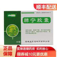 罗米奥 肺宁胶囊 0.35g*48粒/盒