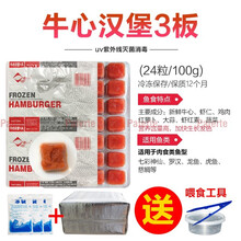 冷冻红虫冰冻血线虫牛心汉堡丰年虾干鹦鹉罗汉七彩神仙龙鱼食饲料 3板牛心汉堡