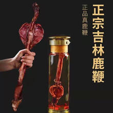 【成年壮鹿】梅花鹿之乡七年以上成年壮鹿高品质鹿鞭 8年壮鹿鹿鞭（约190克）