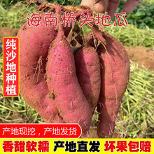 海南澄迈桥头富硒地瓜新鲜红薯黄心番薯板栗薯10斤带箱 10斤带箱 大果