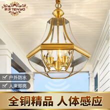 藤源 全铜户外防水吊灯景观庭院灯别墅楼梯过道走廊玄关灯室外阳台凉亭吊灯 全铜防水吊灯3头，宽35*高42CM赠送LED光源