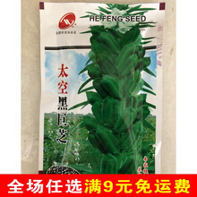 黑芝麻种子白芝麻种籽自产高产油抗病农家自种孑春夏季杂粮 黑芝麻【40克原装】