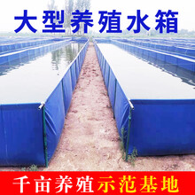 帆布锦鲤养鱼池篷布刀刮布水池箱大棚高密度养殖龙虾大型加厚折叠 加厚浅蓝2x1x1(无支架)