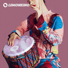 lemonking非洲鼓免调音标准10寸成人初学儿童入门非洲鼓丽江手鼓专业打击乐器成人手鼓 星空款蓝色-10寸