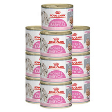 皇家ROYAL CANIN  欧洲进口罐头猫咪主食罐幼猫1-4个月离乳期奶糕孕猫罐头 195g*10（10罐装）