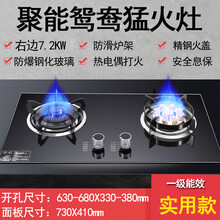 日本樱花煤气灶双灶家用天然气嵌入式灶具猛火灶液化气台式燃气灶 特惠款+9头猛火鸳鸯灶+7.2KW 面板尺寸730 液化气