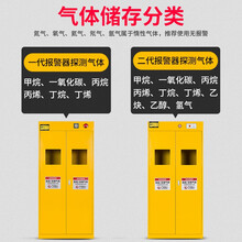 可纳克里全钢防爆气瓶柜安全柜智能报警钢瓶储存柜实验室乙炔双瓶煤气罐柜 报警器