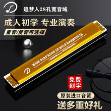 德国进口音簧天鹅追梦人口琴28孔重音C调28孔复音高级专业成人演奏级初学者学习乐器 高端28孔流光金复音【进口音簧】配10大礼包 C调 全套配件