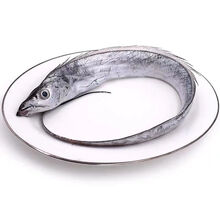 海鲜鱼无冰带鱼 特大带鱼批发整条小眼带鱼 鲜活 5斤装 1斤约3条东海舟山油带鱼