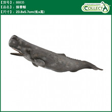 英国CollectA我你他仿真海洋动物模型玩具鲨鱼鲸鱼南北极认知合集 88835抹香鲸