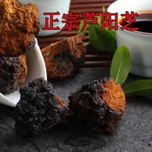 芦阳芝大粒 西藏芦阳芝 官网芦阳芝 (买2贈1) 矷山芦阳芝 (200g装 送枸杞+黄氏)拍2发3