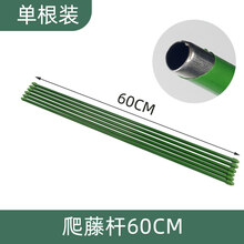 花架爬藤架月季植物室内园艺花卉支撑杆铁线莲爬藤绿植爬藤杆 60cm杆子 中等